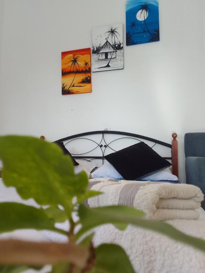 Ocean Surf Lodge タガズー エクステリア 写真